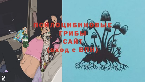 mdpv Майский